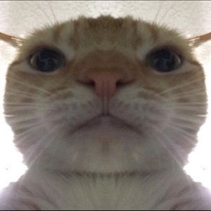 Meet your Posher, Sam